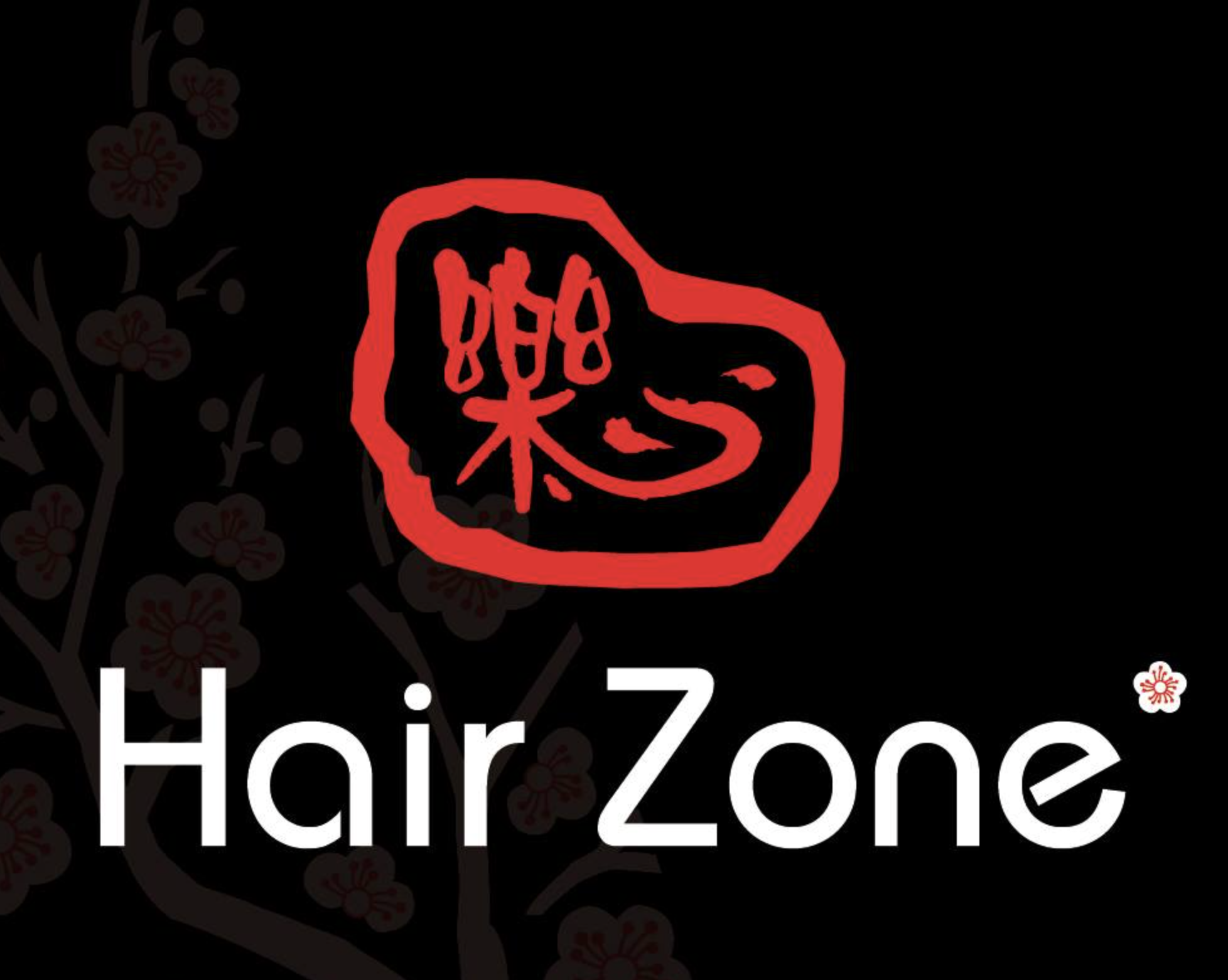 Hair Zone